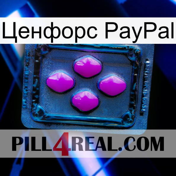 Ценфорс PayPal 04.jpg